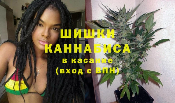 ГАЛЛЮЦИНОГЕННЫЕ ГРИБЫ Баксан