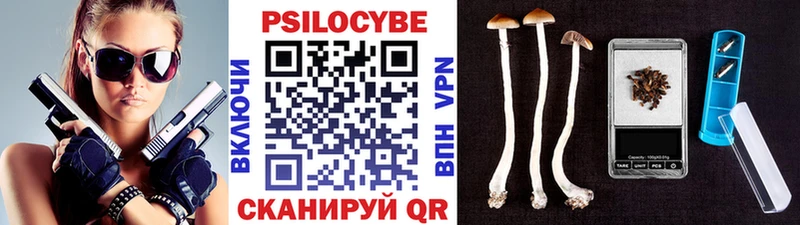 Галлюциногенные грибы Cubensis  Бузулук 
